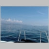 dscf2716.jpg